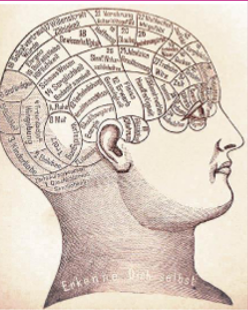 cervello cervello