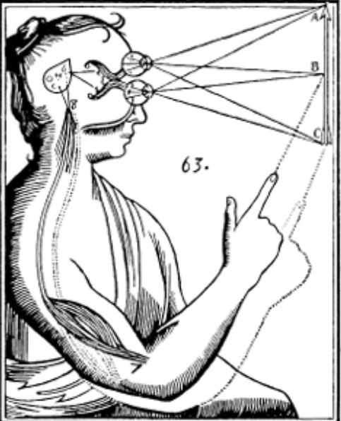 mente cervello mente e cervello